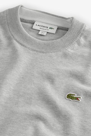 Lacoste jumper grey online