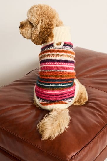 Buy clearance dog jumper