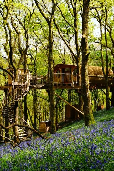 Activity Superstore Two Night Tree House Escape for Two Gift Experience