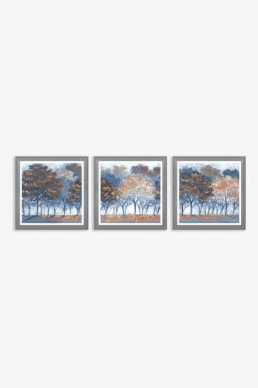 Artko Grey Autumn Light Set of 3 by Diane Demirci Framed Art