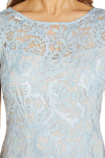 barba Civilizar Fabricante Buy Adrianna Papell Womens Blue Embroidered Lace Sheath Dress from Next  Spain