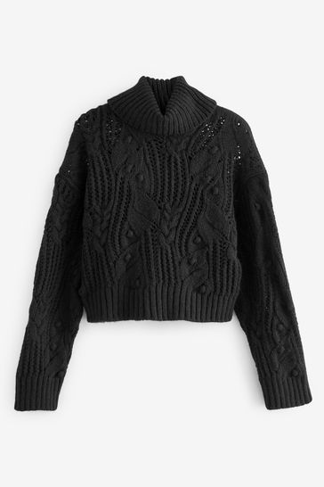 Buy Black Crochet Open Stitch Roll Neck Jumper from Next Singapore