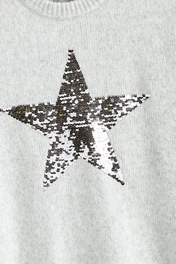 Mint velvet best sale grey star jumper