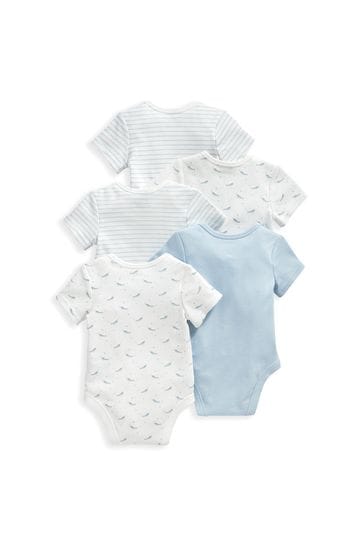 Blue shop whale clothing