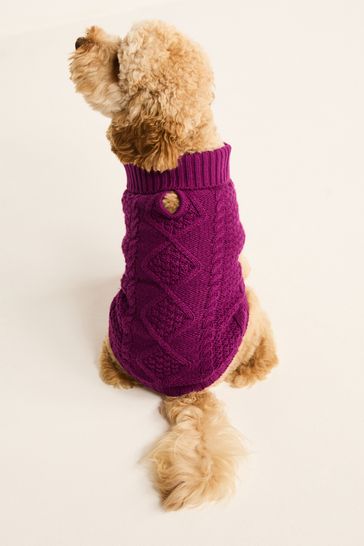 Dog hot sale jumpers next