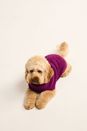 Dog on sale jumpers next