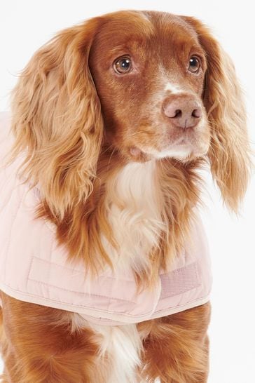 Pink dog barbour coat shop
