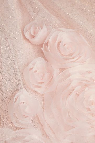 Monsoon Pink Arabella 3D Roses Dress