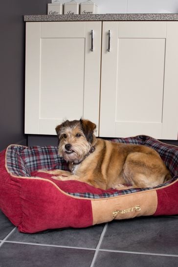 dog bed small breed