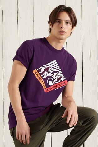 Superdry Purple Mountain Relaxed Fit Graphic T-Shirt