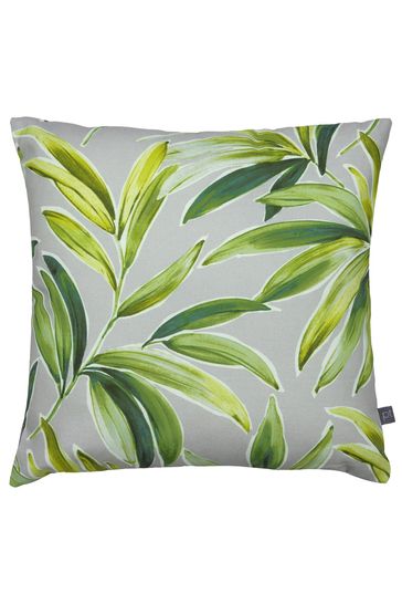 Cactus cushion sales