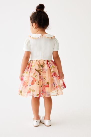Buy Baker by Ted Baker Apricot Burnout Mockable Dress from Next Kuwait