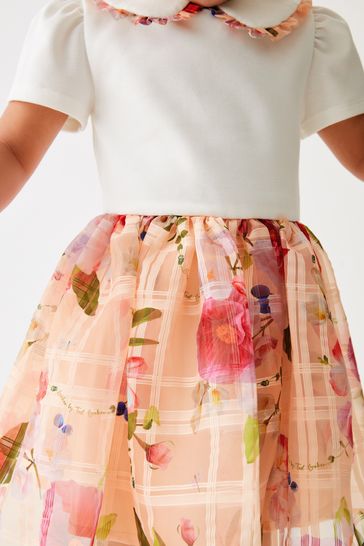 Ted baker mockable dress top