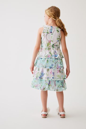 Ted baker hotsell mint dress