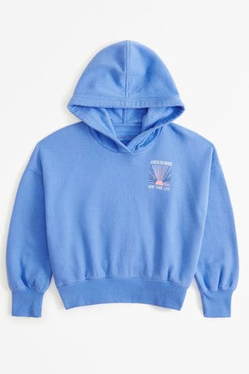 Buy Abercrombie Fitch Blue Sunshine Back Graphic Print Hoodie from Next Ireland