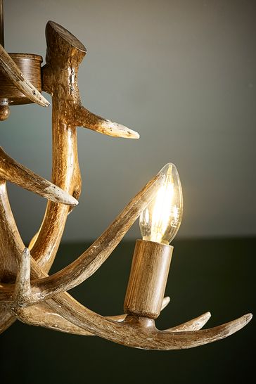 Antler ceiling store light next