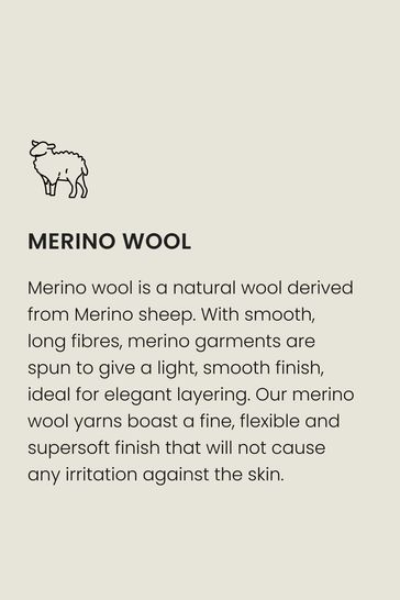 Buy Neutral Regular Merino Wool Polo Jumper from Next Singapore