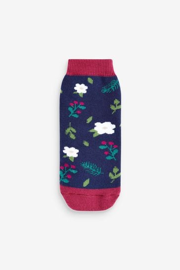 Ted baker toastie hot sale
