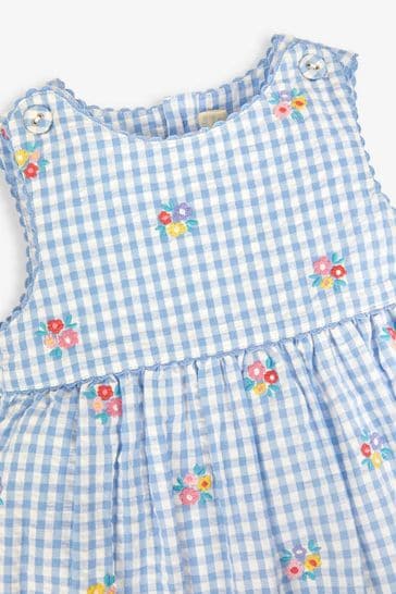 Blue gingham baby best sale dress