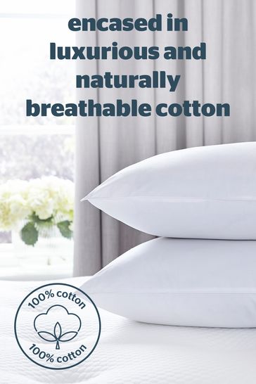 100 percent cotton pillows discount