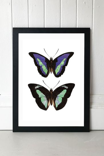 East End Prints Black Purple Butterfly Print