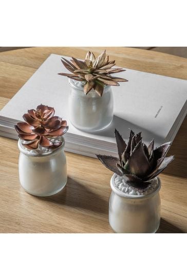 Gallery Home Set of 3 Natural Artificial Succulents In Metallic Pots Artificial Flowers