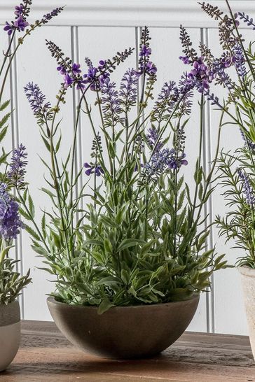 Gallery Direct Green Artificial Lavender Plant In Small Bowl Artificial Flowers