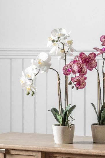 Gallery Direct White Artificial Orchid In Ceramic Pot