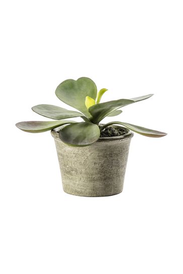 Gallery Home Green Artificial Kalanchoe Plant In Pot
