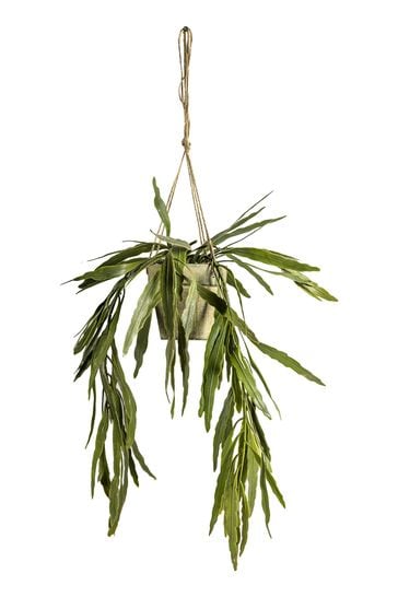Gallery Home Green Artificial Rhipsalis Plant In Hanging Weathered Pot