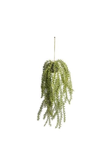 Gallery Home Green Artificial Horsetrail Cactus Hanging Plant