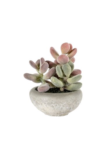 Gallery Direct Pink Artificial Small Graptoveria In Cement Bowl