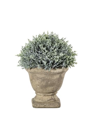Gallery Home Green Artificial Stone Effect Urn With Cypress Plant