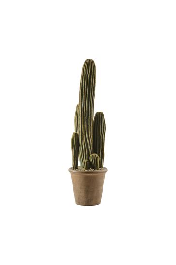 Gallery Home Green Artificial Large San Pedro Cactus