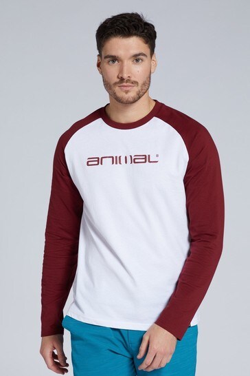 Animal Mens Sander Organic Raglan T-Shirt