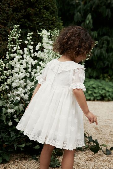 Next 2025 lace dresses