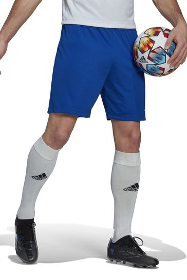adidas Blue Performance Football Entrada 22 Shorts