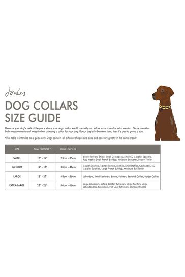 Medium dog outlet collar size