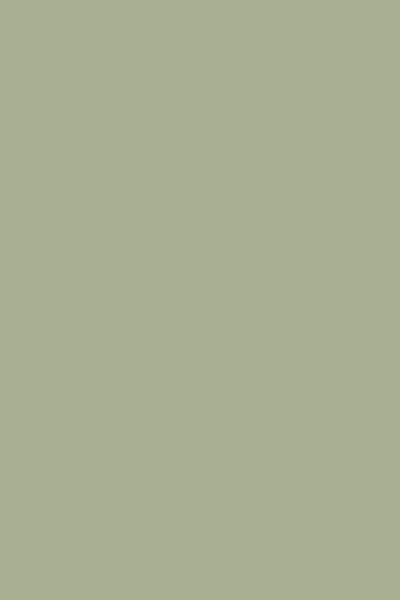 Laura Ashley Hedgerow Green Kitchen And Bathroom 2.5Lt Paint