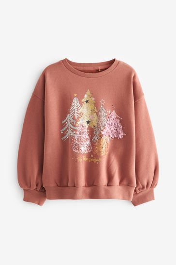 Buy Rust Brown Sequin Christmas Sweatshirt Jumper 3 16yrs from Next Luxembourg
