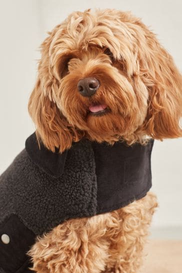 Buy Black Teddy Borg Reversible Dog Coat with Quilted Inner from