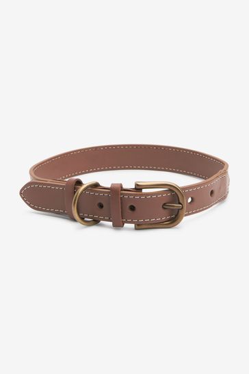 Nice leather sales dog collars