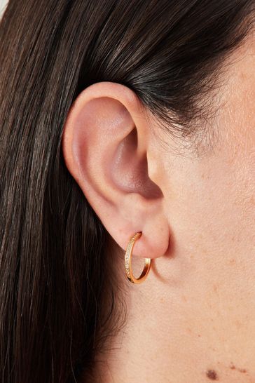 Accessorize Gold Tone 14ct Pave Hoop Earrings