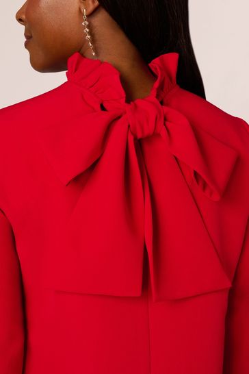 Buy Adrianna Papell Red Trapeze Mock Neck Dress from Next Poland