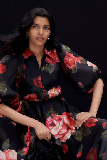 Phase eight cilla dress top