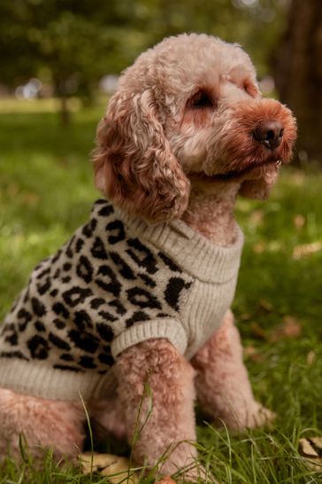 Neutral Brown Animal Dog Jumper