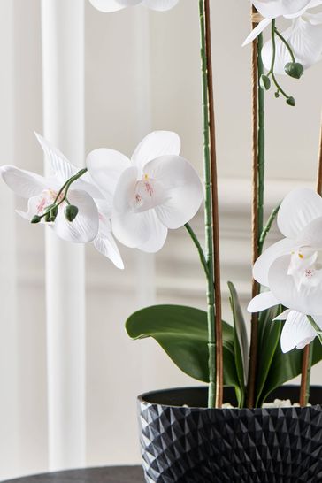 Buy artificial orchids online discount