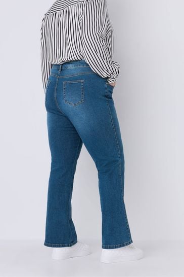 Evans curve jeans shop