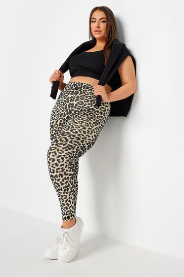 Next animal print leggings hotsell