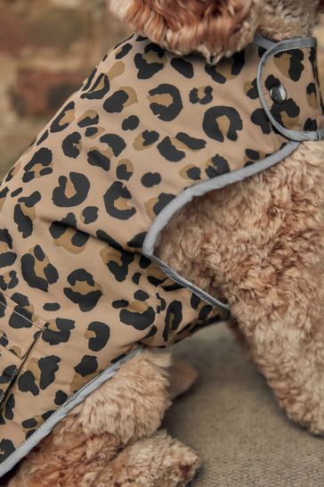 Dog print coat new arrivals
